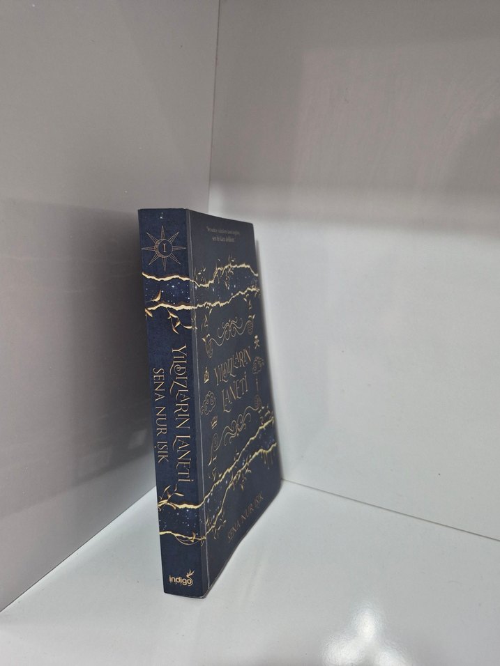 Kitap Yıldızların Laneti - Görsel 3
