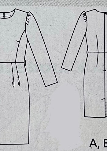 Zebra desenli elbise - Görsel 2