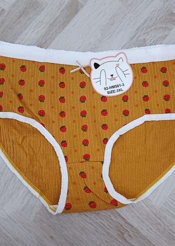 Renkli Nakışlı Kadın  Külot - Görsel 4