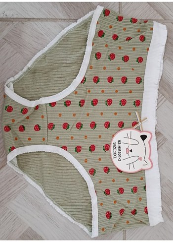 Renkli Nakışlı Kadın  Külot - Görsel 2