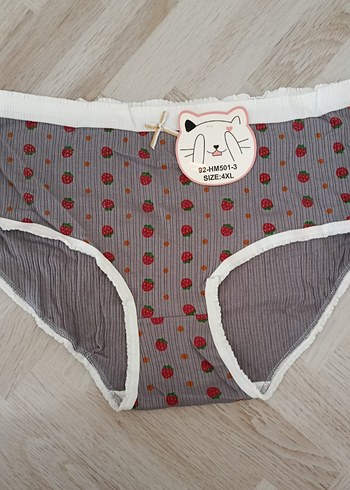 Renkli Nakışlı Kadın  Külot - Görsel 5