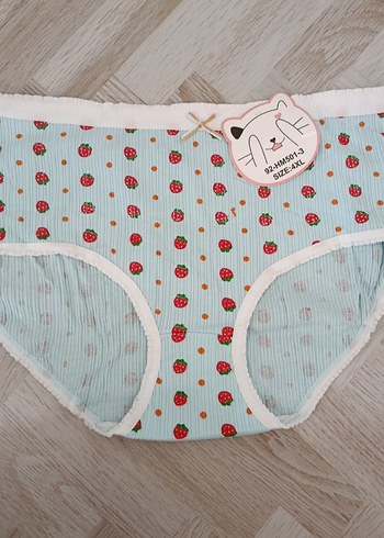 Renkli Nakışlı Kadın  Külot - Görsel 3