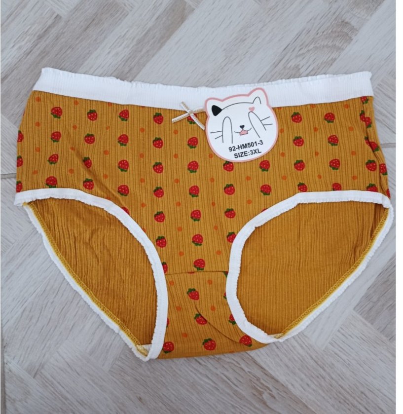 Renkli Nakışlı Kadın  Külot - Görsel 4