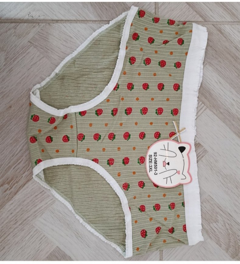 Renkli Nakışlı Kadın  Külot - Görsel 2