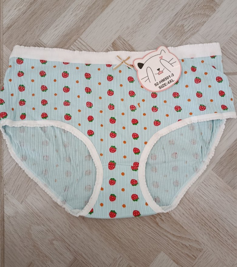 Renkli Nakışlı Kadın  Külot - Görsel 3