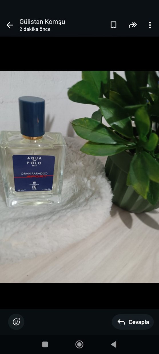 Aqua Di Polo Gran Paradiso Sport Erkek Parfümü 50 ml - Görsel 2