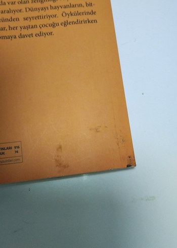 Sırları Keşfederken - Özlem Uluğ Ozaglar - Görsel 3