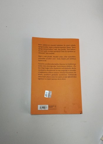 Sırları Keşfederken - Özlem Uluğ Ozaglar - Görsel 2