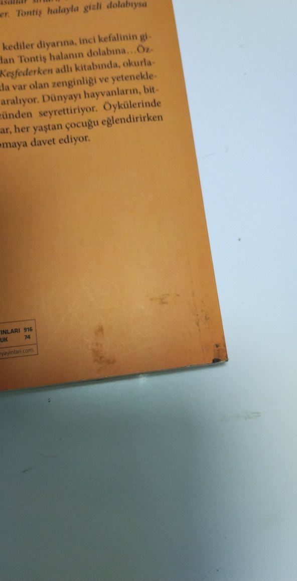 Sırları Keşfederken - Özlem Uluğ Ozaglar - Görsel 3