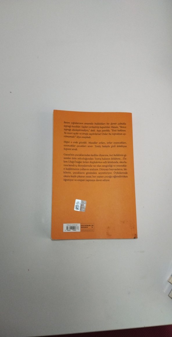 Sırları Keşfederken - Özlem Uluğ Ozaglar - Görsel 2