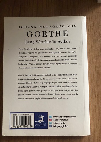 Genç Werther'in Acıları - Johann Wolfgang von Goethe - Görsel 2