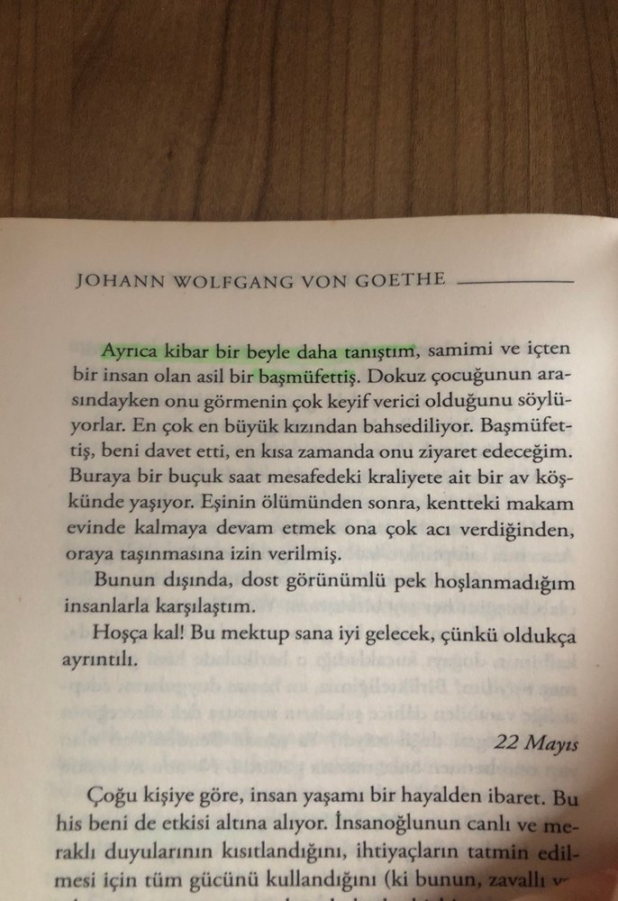 Genç Werther'in Acıları - Johann Wolfgang von Goethe - Görsel 5