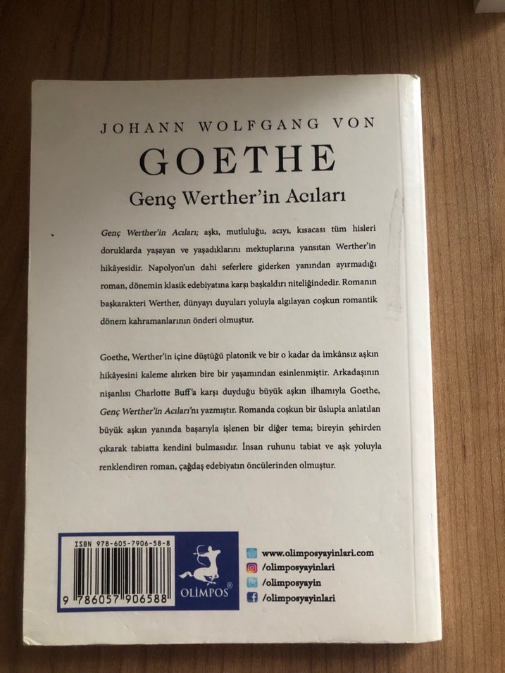 Genç Werther'in Acıları - Johann Wolfgang von Goethe - Görsel 2
