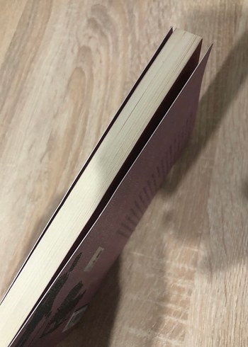 Namık Kemal - İntibah Romanı - Görsel 4