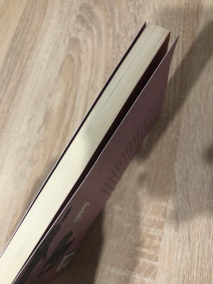 Namık Kemal - İntibah Romanı - Görsel 4