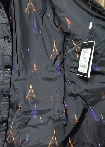 Düğmeli Gri Erkek Kısa Mont tasarımı tek - Görsel 2