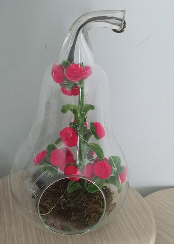 Cam Fanus İçinde Renkli Kırmızı Çiçekler - Görsel 6