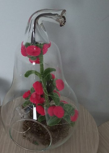 Cam Fanus İçinde Renkli Kırmızı Çiçekler - Görsel 7
