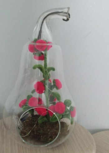 Cam Fanus İçinde Renkli Kırmızı Çiçekler - Görsel 8
