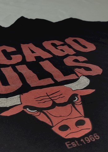 Chicago Bulls Baskılı Tişört - Görsel 5
