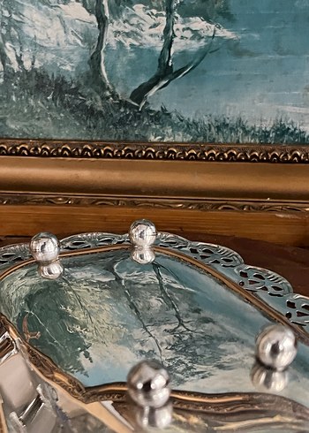 Gümüş kaplama SUNUMLUK - Görsel 5