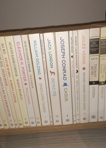 Klasik Edebiyat Kitap Seti - Görsel 4