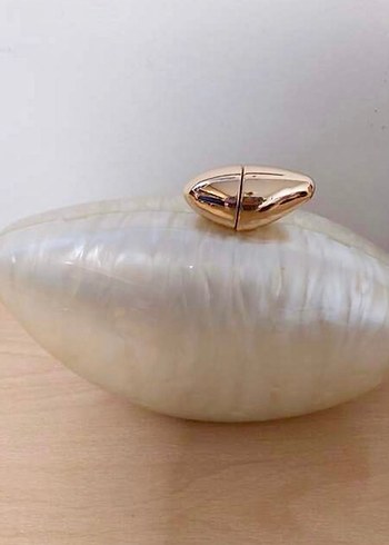 Kadın Abiye Çanta - Görsel 2