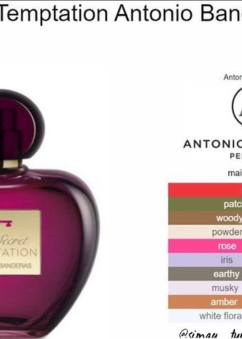 Antonio Banderas Temptation Kadın Parfümü - Görsel 2