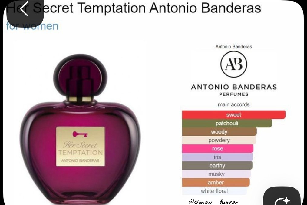 Antonio Banderas Temptation Kadın Parfümü - Görsel 2
