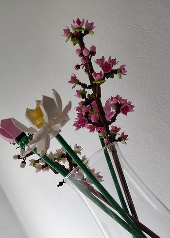 Şeffaf Cam Vazoda Pastel Pembe Çiçekler - Görsel 2