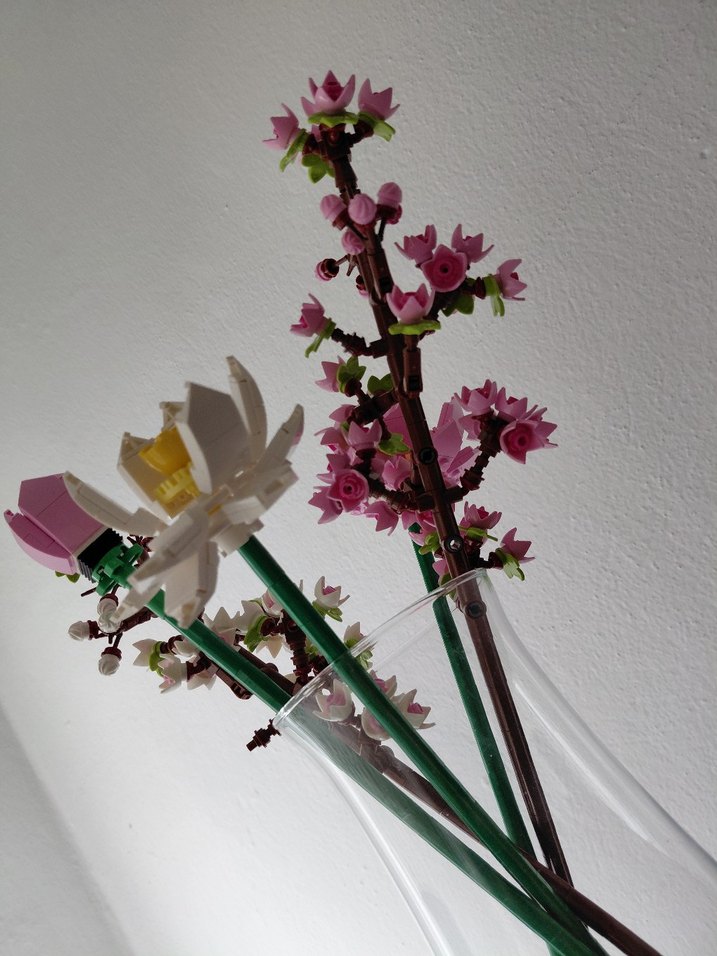 Şeffaf Cam Vazoda Pastel Pembe Çiçekler - Görsel 2