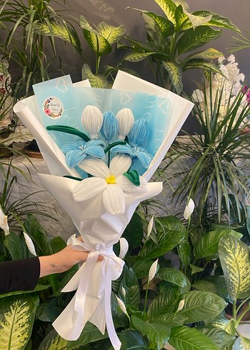 Şönil Sindirella Buketi - Görsel 2