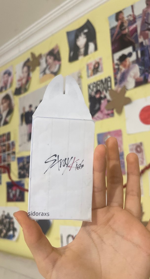 Straykids(wolfchan)photocard holder(açıklamayı okuyun! - Görsel 2