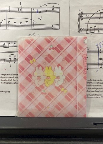 Cherry Bunny photocard holder(açıklamayı okuyun! - Görsel 2