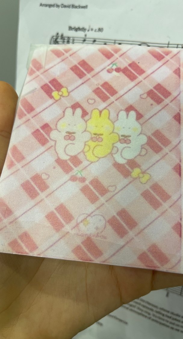 Cherry Bunny photocard holder(açıklamayı okuyun! - Görsel 3