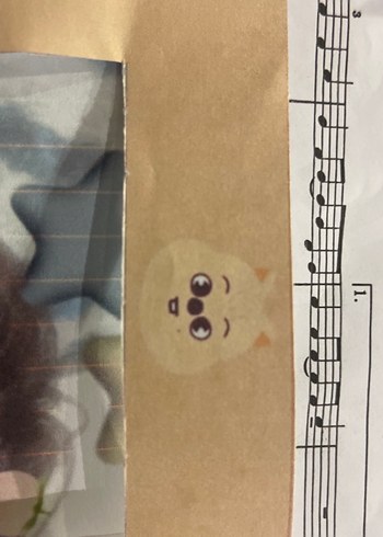 Dev boy han quokka photocard holder(açıklamayı okuyun! - Görsel 3