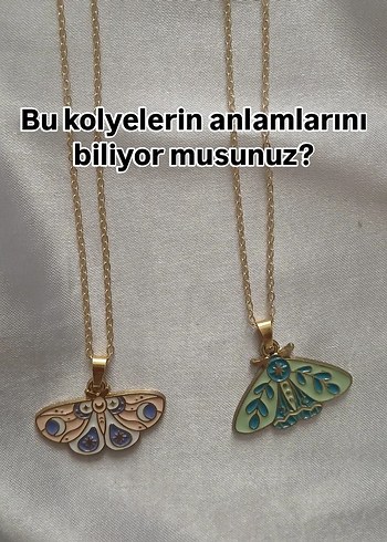 Tasarımcı