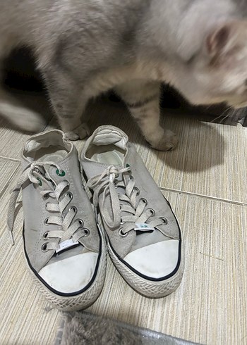 Beyaz Minimalist Kadın Spor Ayakkabı - Görsel 2