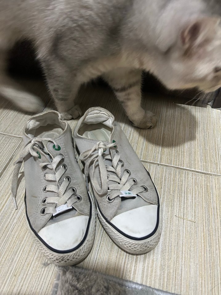 Beyaz Minimalist Kadın Spor Ayakkabı - Görsel 2