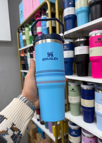 Pastel Pembe Stanley Termos Şişe - Görsel 5