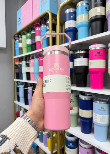Pastel Pembe Stanley Termos Şişe - Görsel 17