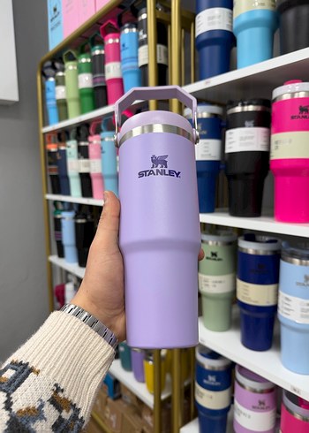 Pastel Pembe Stanley Termos Şişe - Görsel 14