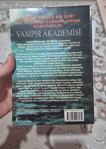 Vampir Akademisi - Elle Mead - Görsel 2