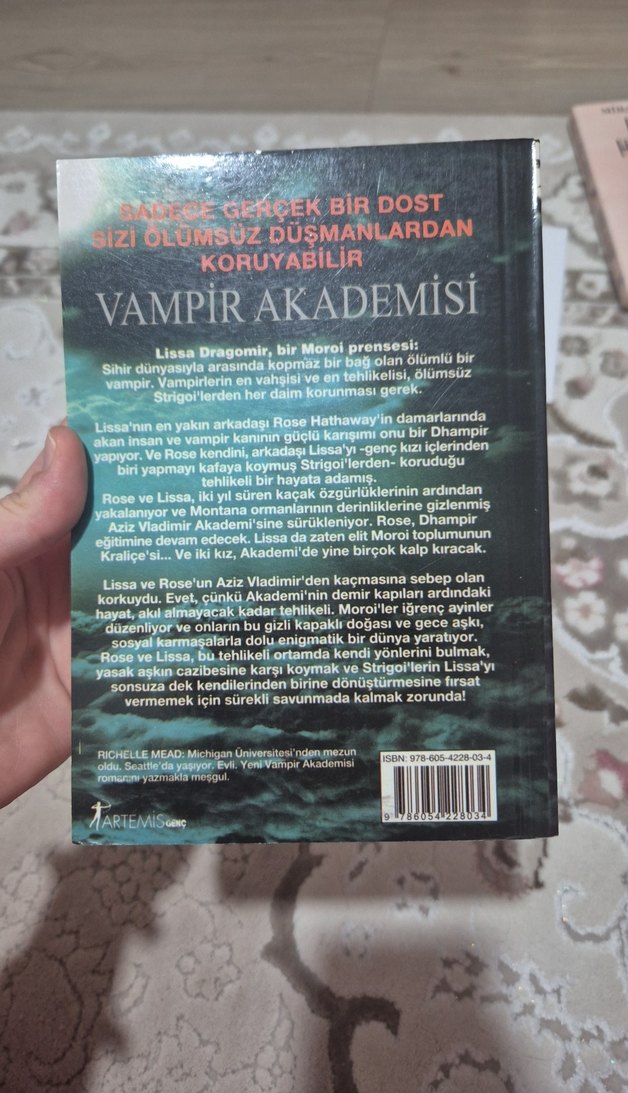 Vampir Akademisi - Elle Mead - Görsel 2