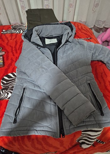 LTB xs