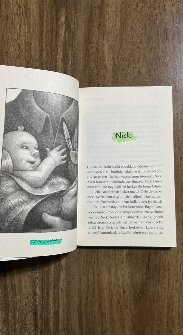 Bunun Adı Findel - Andrew Clements - Görsel 3