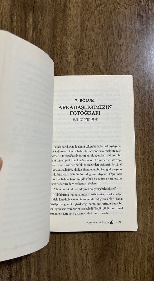 Canım Arkadaşım - Özgür Balpınar - Görsel 3