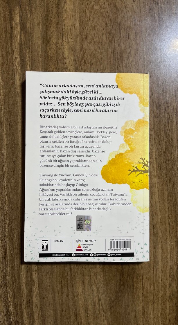 Canım Arkadaşım - Özgür Balpınar - Görsel 2