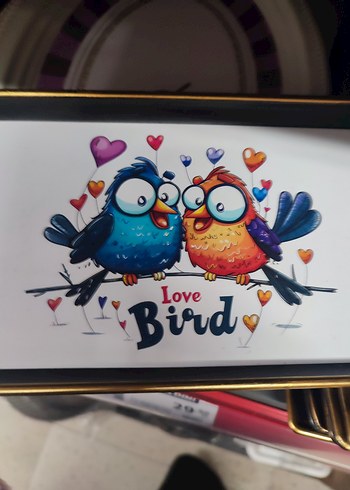 Renkli Baskılı Sarı tepsiler plastik - Görsel 5