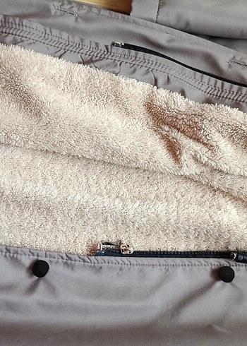 Gri Kaban - Görsel 2